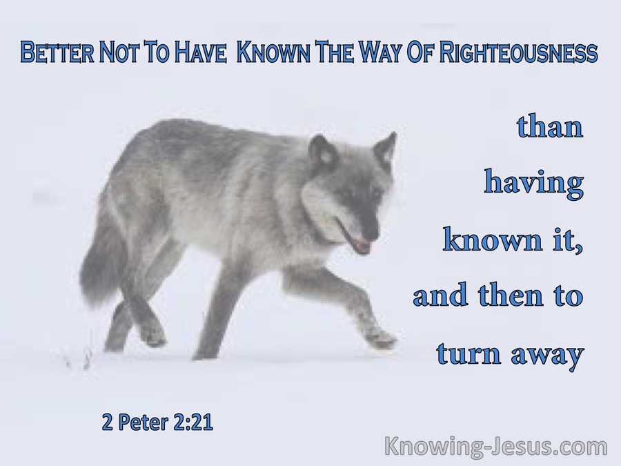 2 Peter 2:21 Better Not To Have Known Way Of Righteousness (blue)